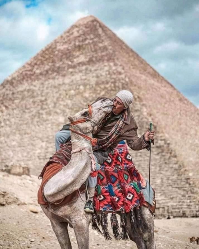 Egypt Tour