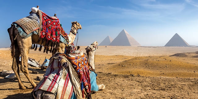 Egypt Guided Tours by locals