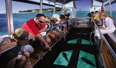 Sharm El Sheikh Glass Boat Tours