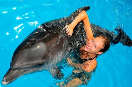 Swim with Dolphin in Sharm El Sheikh