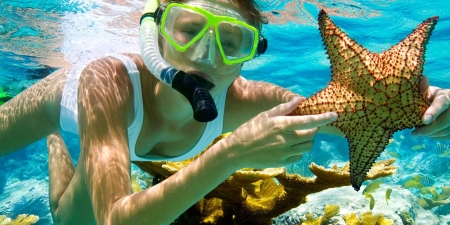 Snorkeling Tours from Safaga Port
