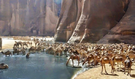 Wadi El Gemal Safari Tours, Marsa Alam excursions