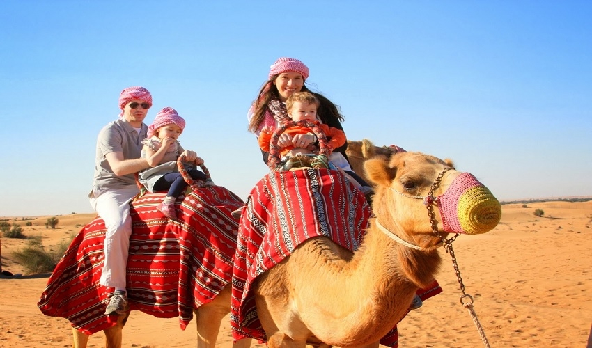 Safari tour and Camel ride in Sharm El Sheikh