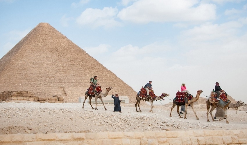 Camel riding near to the Pyramids