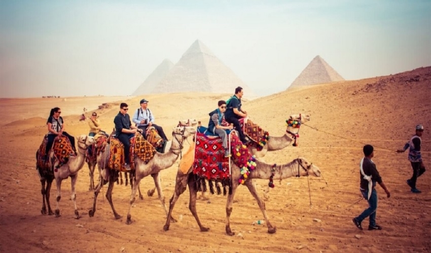 Camel and Horse riding in Cairo