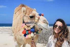 Abu Galum Tours from Sharm El Sheikh