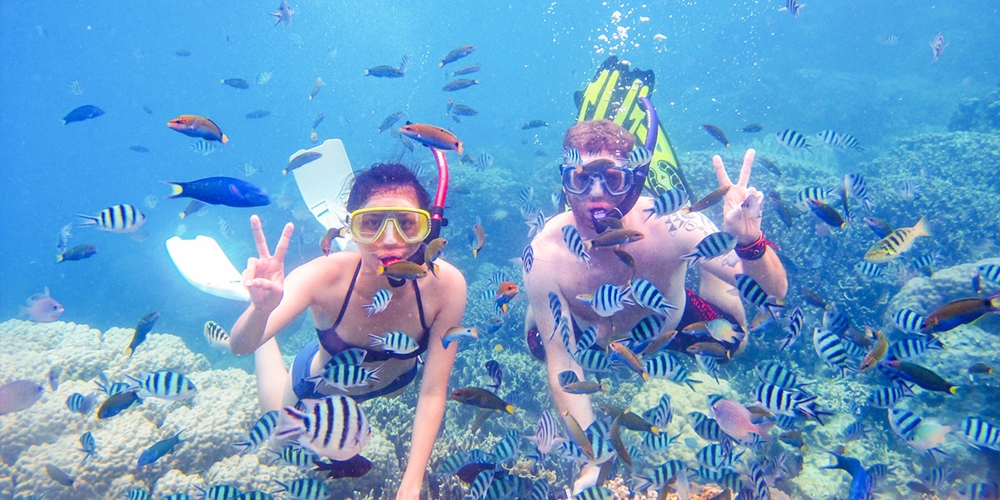 Snorkeling Tours from Safaga Port