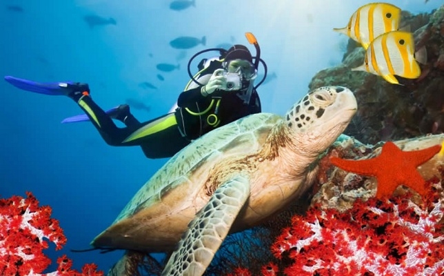 Snorkeling Tours from Sharm El Sheikh Port 
