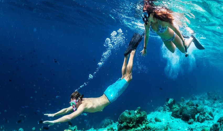 Mahmya Island Snorkeling from El Gouna