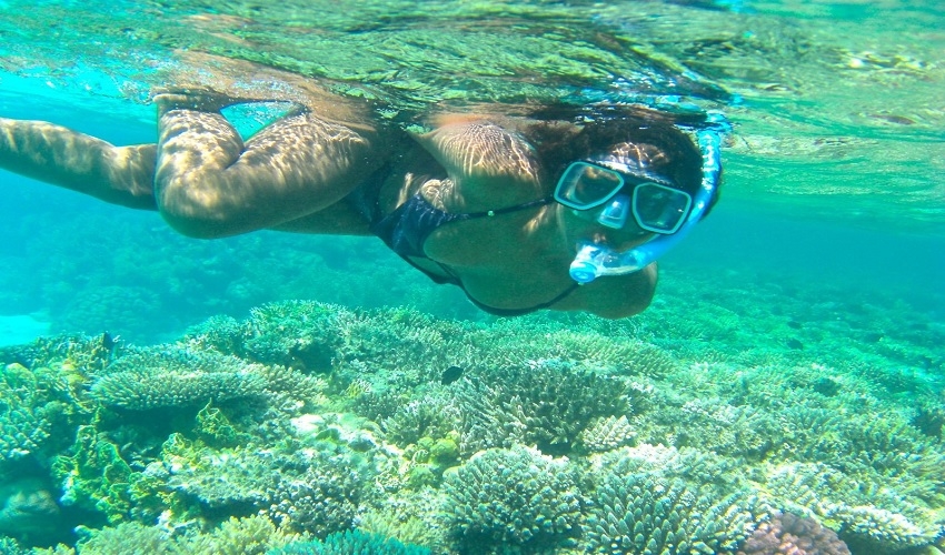 Tiran Snorkeling tour in Sharm El Sheikh