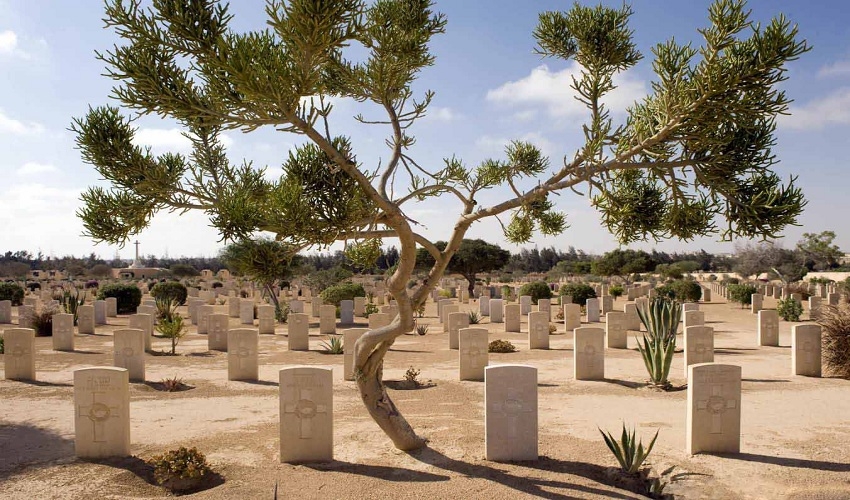 Commonwealth cemetery in Al Alamein