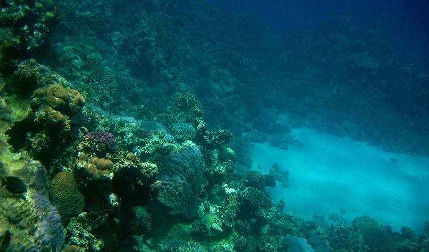 Thee Pool Dahab Snorkeling