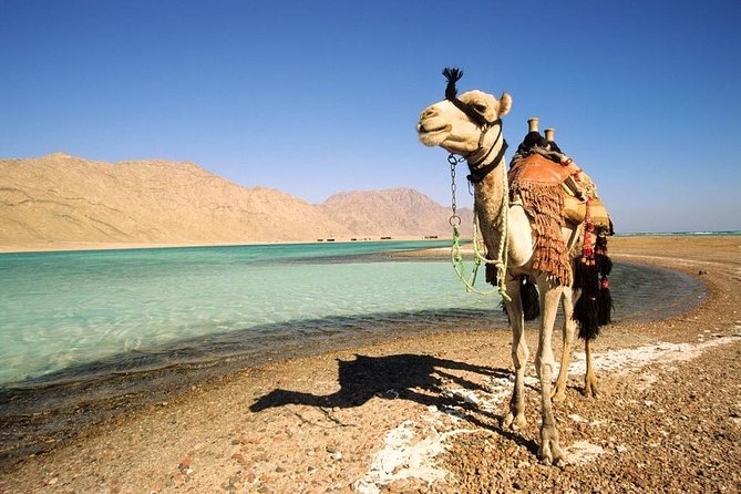 Safari Tours in Dahab from Sharm Marina