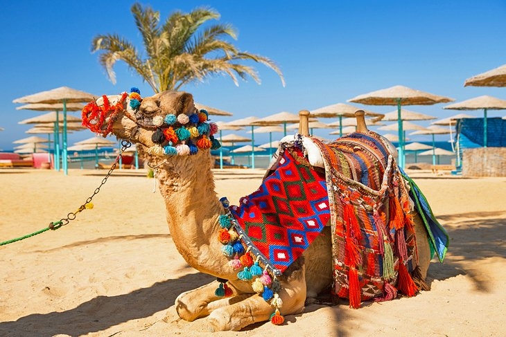 Cairo, Luxor and Hurghada Luxury Tours