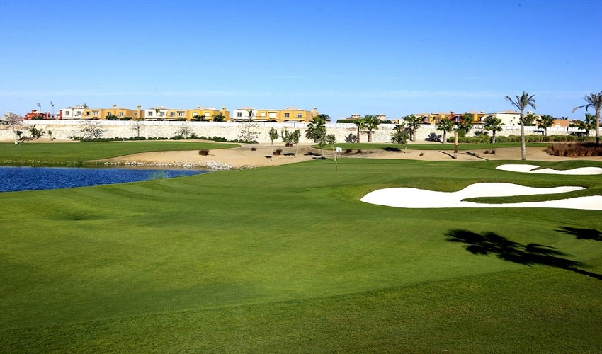 Cairo Golf Courses 