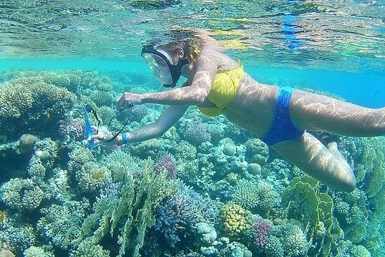 Hurghada snorkeling tours at Magawish island