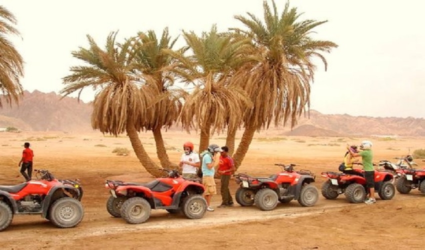 Dahab Safari Tours